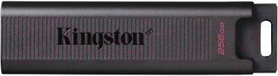 USB Flash-накопитель Kingston DTMAX/256GB