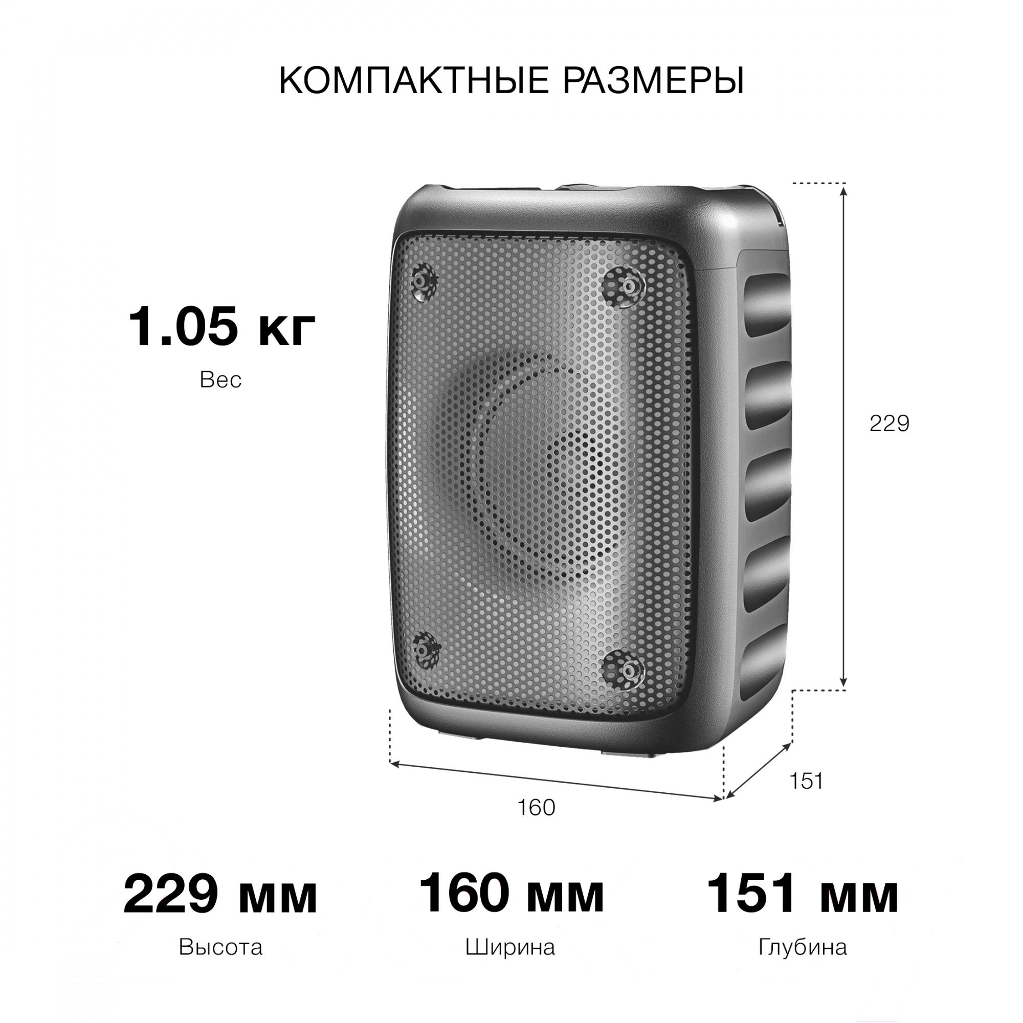 Портативная колонка Hyundai H-PS1006 черный
