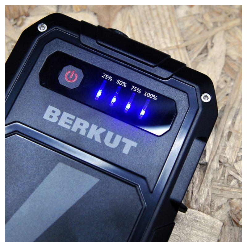 Зарядное устройство для аккумуляторов Berkut JSL-9000