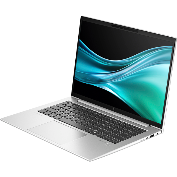 Ноутбук HP EliteBook 845 G11 Silver (A6TA9UT)