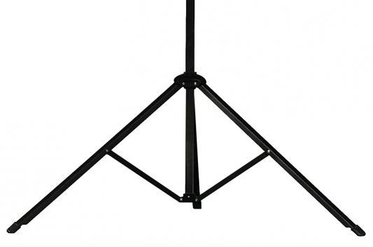 Проекционный экран Lumien Master View (LMV-100109)