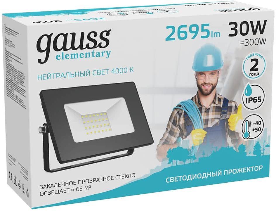 Прожектор уличный Gauss Elementary 613100230 черный