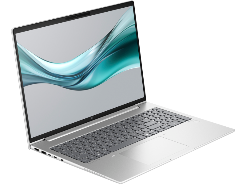 Ноутбук HP EliteBook 665 G11 Silver (8Z714AV)