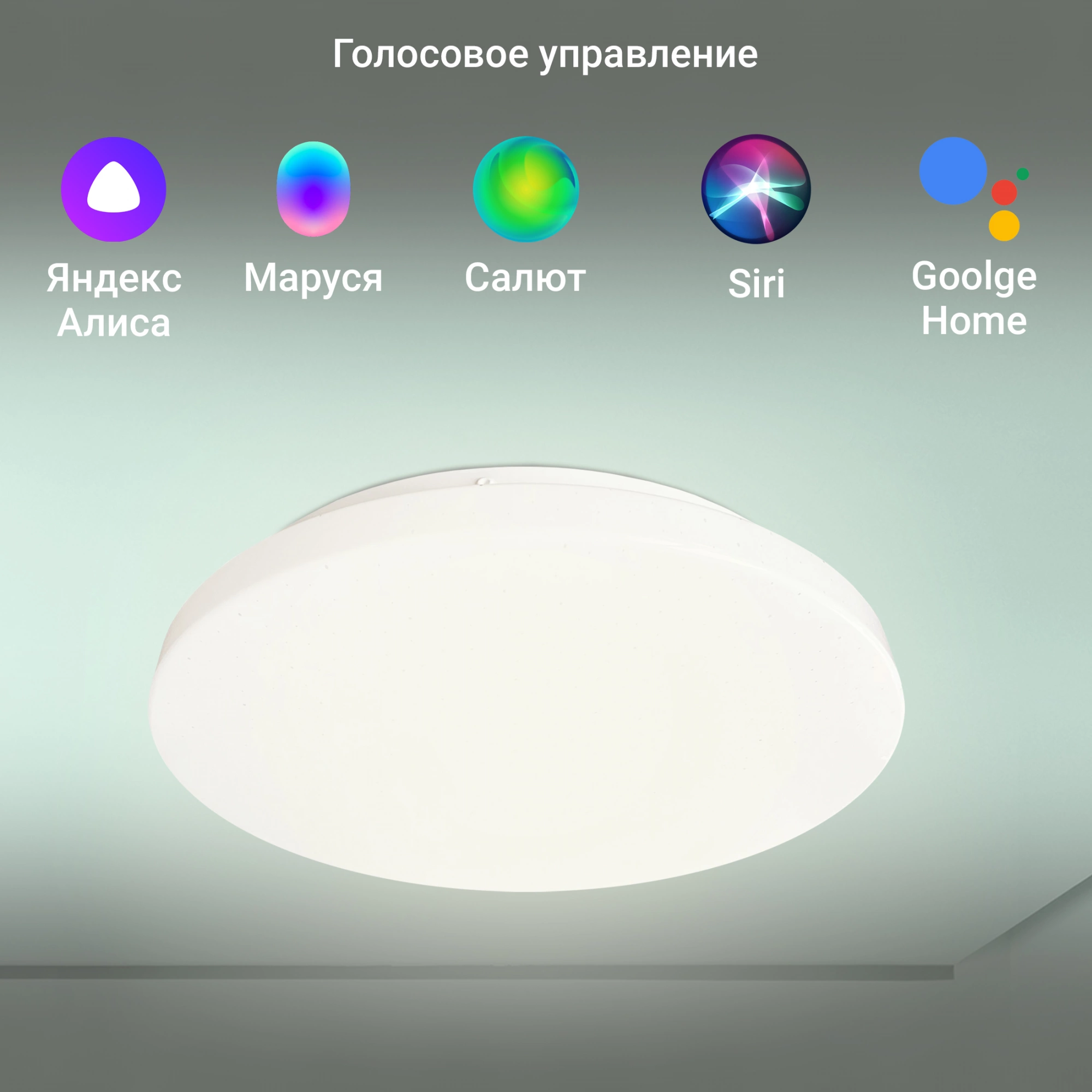 Потолочный светильник Digma TopLight TL25 белый