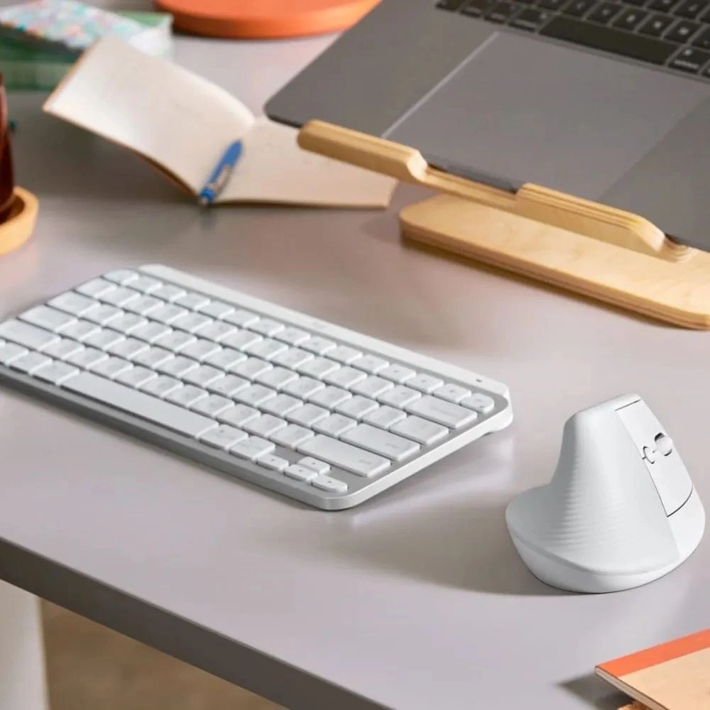 Мышь Logitech Lift белый (910-006486)