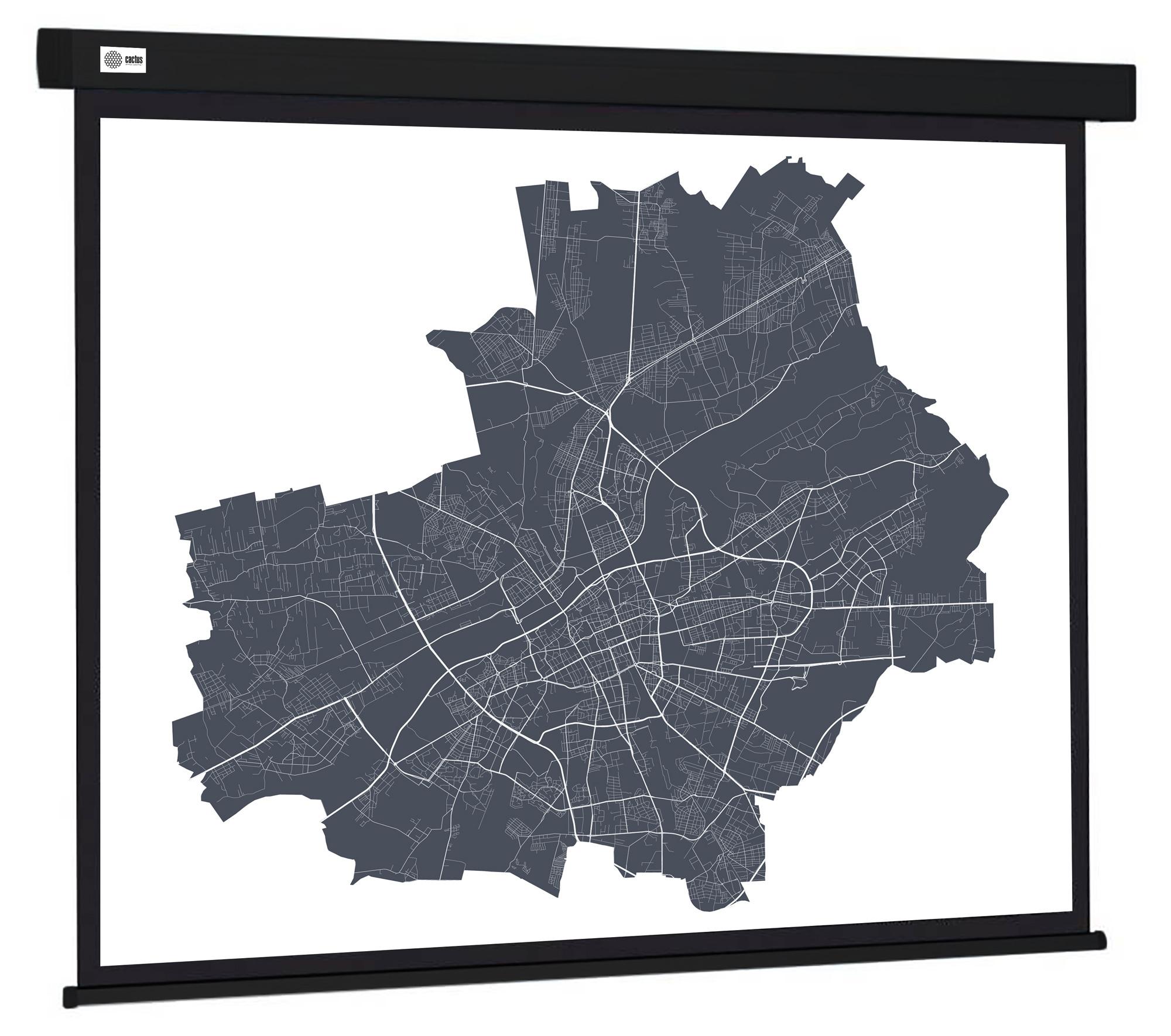 Проекционный экран Cactus CS-PSW-152X203-BK черный