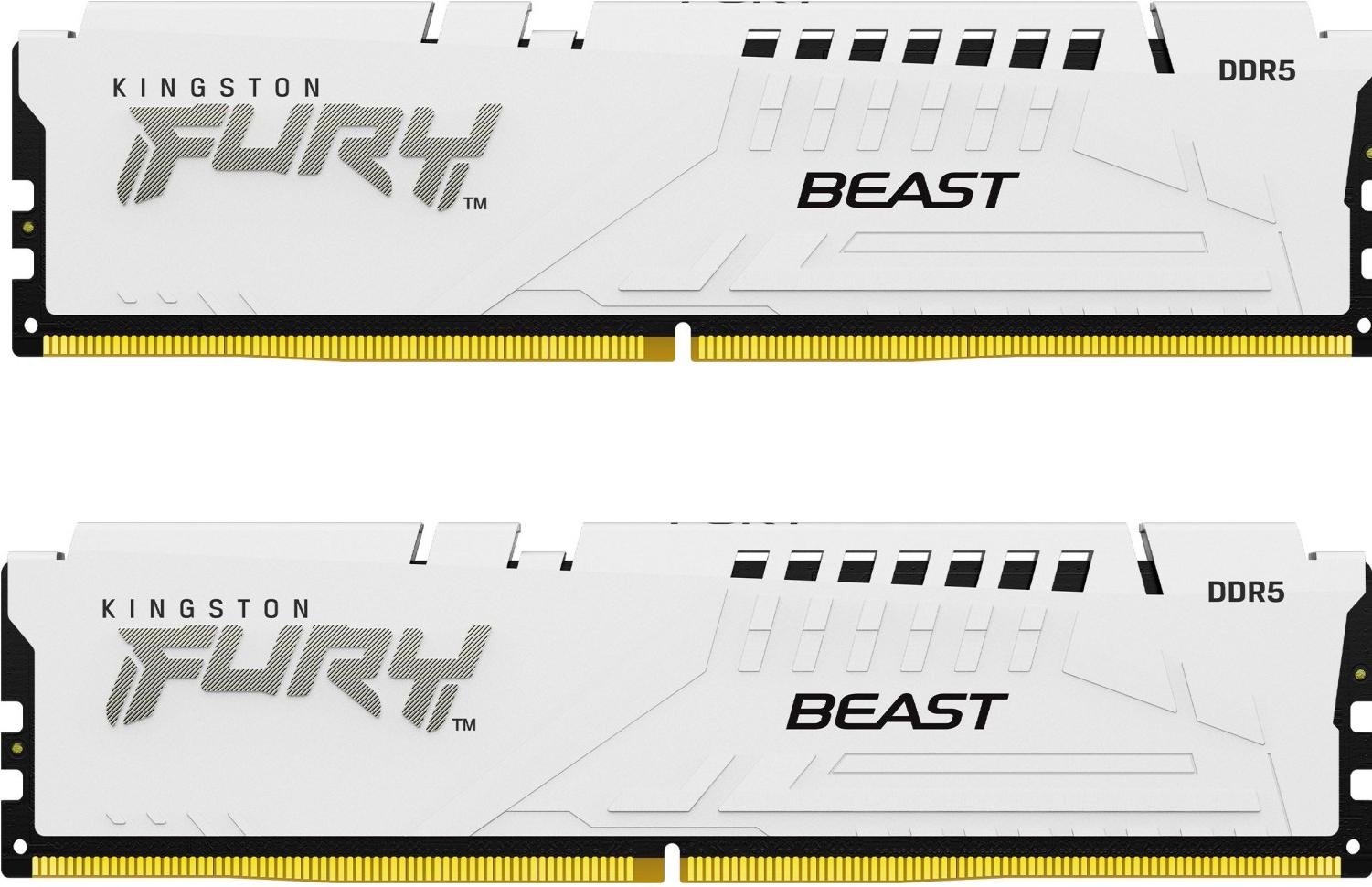 Оперативная память Kingston Fury Beast RTL Gaming DDR5 2x32GB (KF560C36BWEK2-64)