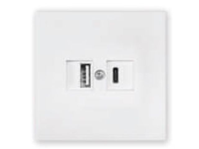 Розетка с двумя USB-разъемами (скрытая, узел) белая, Carre Bylectrica