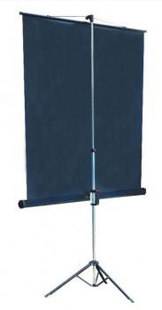 Проекционный экран Lumien Master View (LMV-100109)