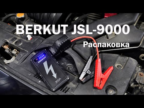 Зарядное устройство для аккумуляторов Berkut JSL-9000