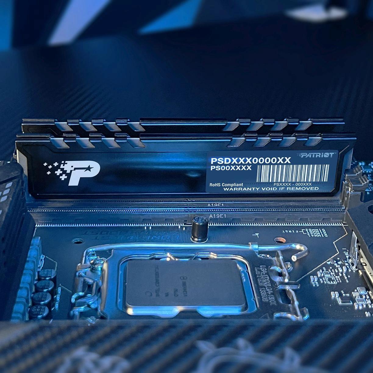 Оперативная память Patriot Signature Premium 16GB DDR5 RTL (PSP516G560081H1)