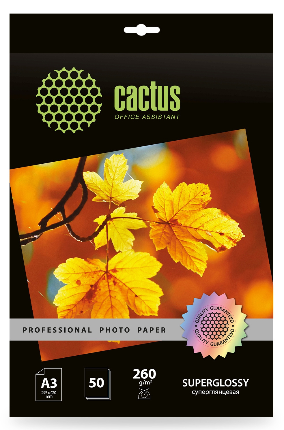 Фотобумага CACTUS Prof CS-HGA326050 белый глянцевый