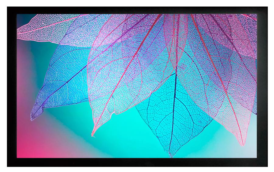 Проекционный экран Cactus Frame Expert (CS-PSFRE-220X124)