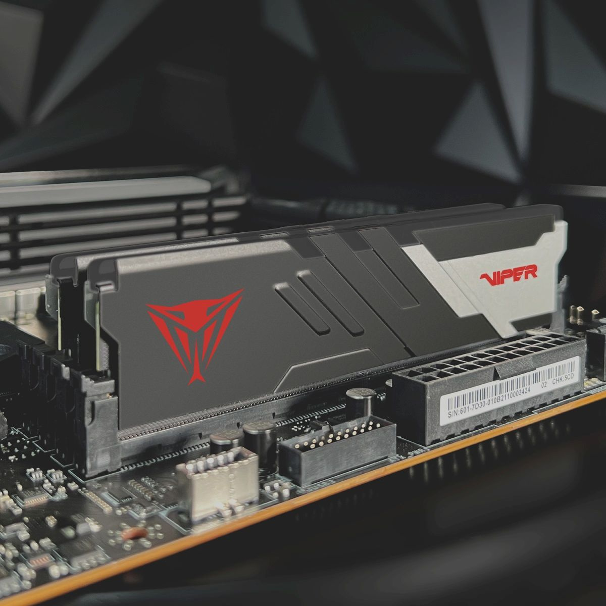 Оперативная память Patriot DDR5 2x32GB 6400MHz (PVV564G640C32K)