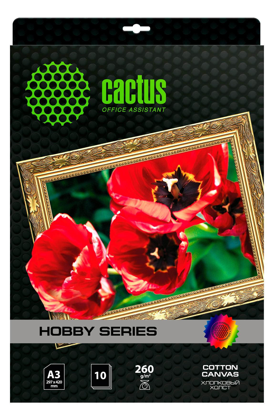 Холст Cactus CS-СA326010