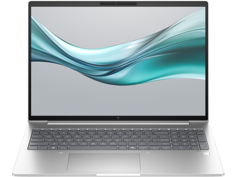 Ноутбук HP EliteBook 665 G11 Silver (8Z714AV)