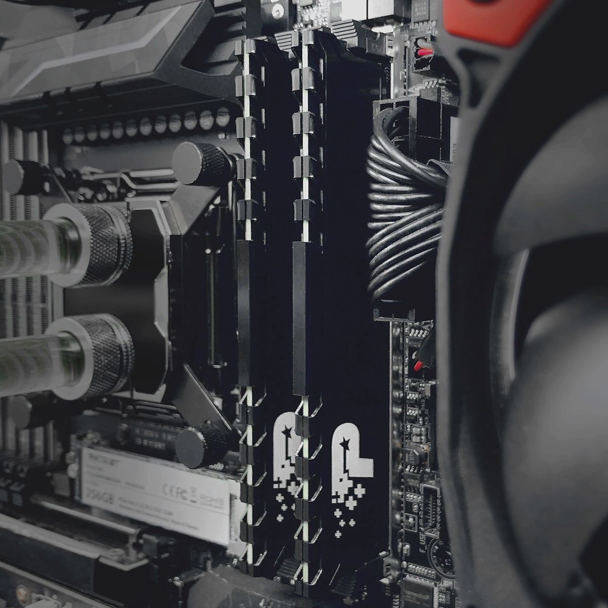 Оперативная память Patriot Signature 16Gb DDR4 (PSP416G3200KH1)