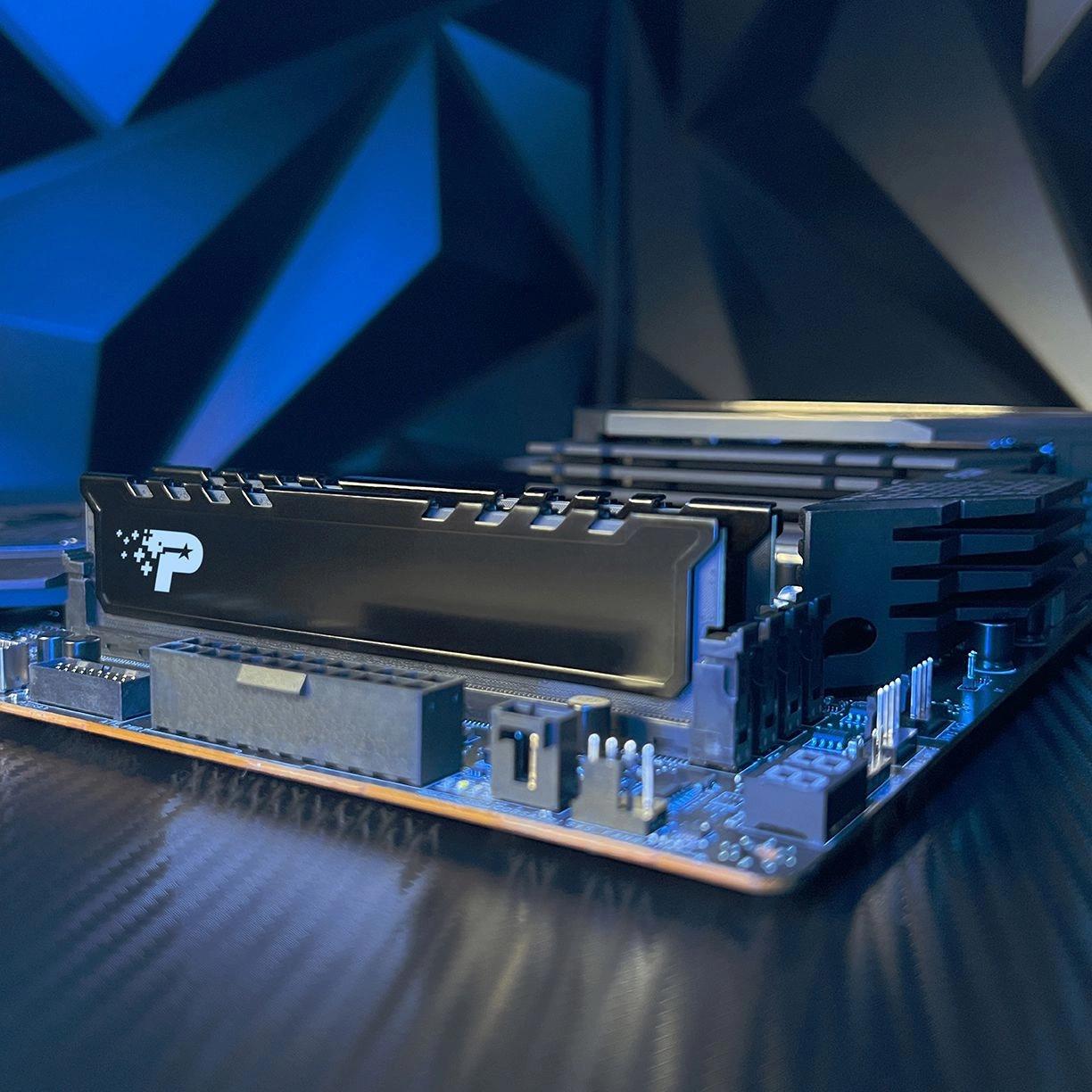 Оперативная память Patriot Signature Premium 16GB DDR5 RTL (PSP516G560081H1)