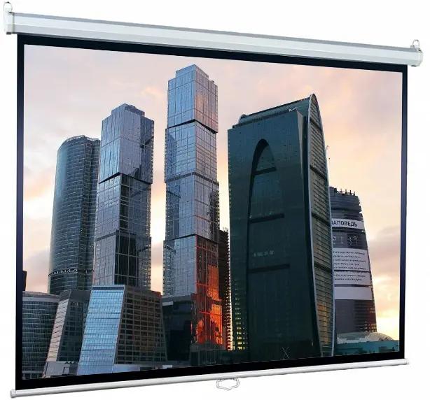 Проекционный экран Lumien Eco Picture (LEP-100110)
