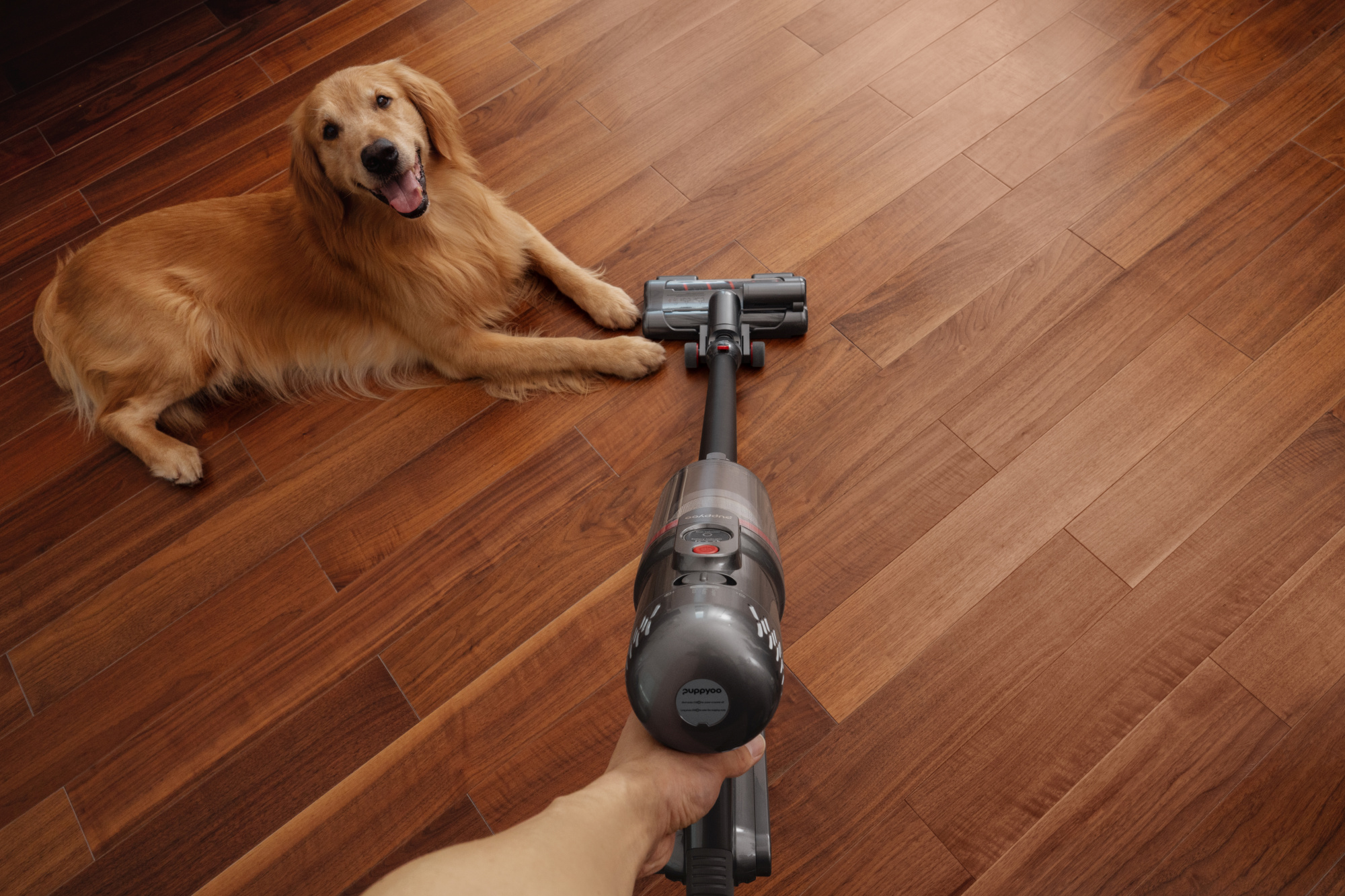 Пылесос Puppyoo T12 Plus Rinse серый