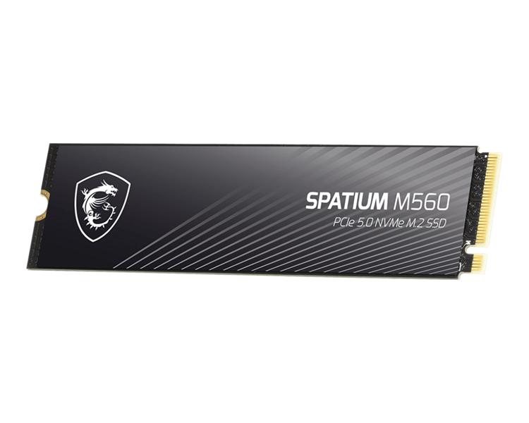 SSD диск MSI Spatium M560 2Tb (S78-440Q940-P83)