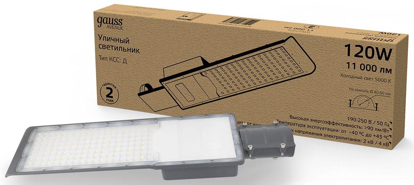 Уличный светильник Gauss 629536320 черный