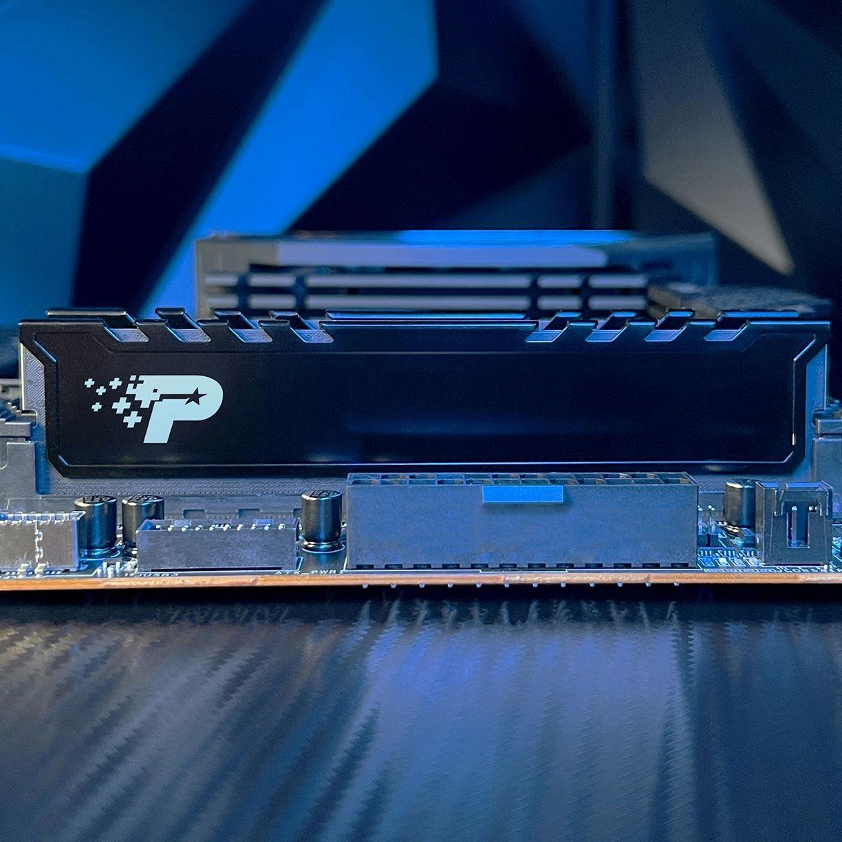 Оперативная память Patriot Signature Premium 16GB DDR5 RTL (PSP516G560081H1)