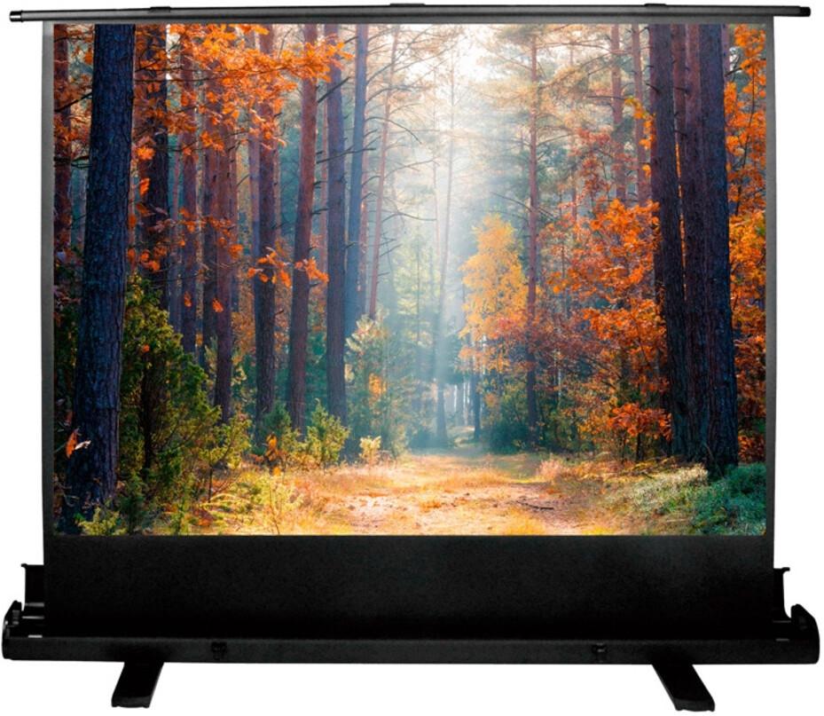 Проекционный экран Cactus FloorExpert (CS-PSFLE-180X135)