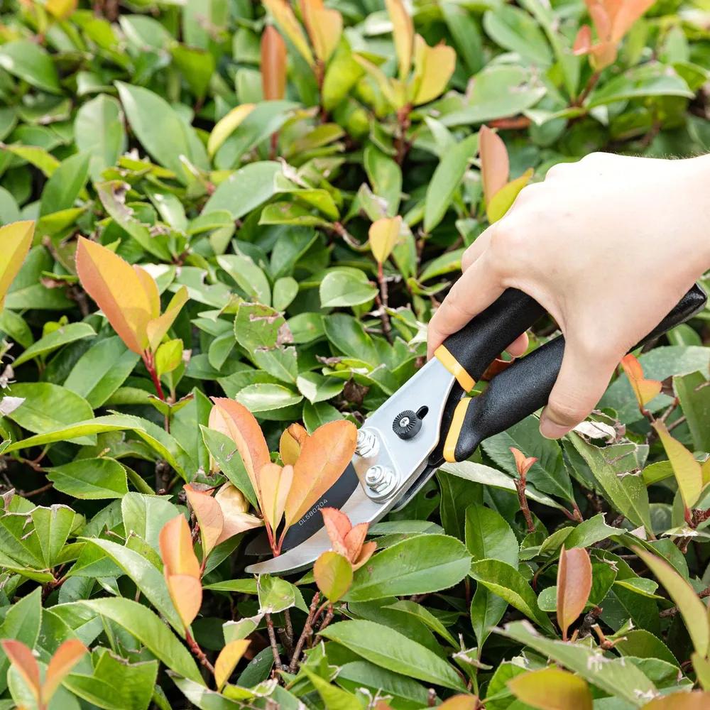 Секатор Deli DL580205