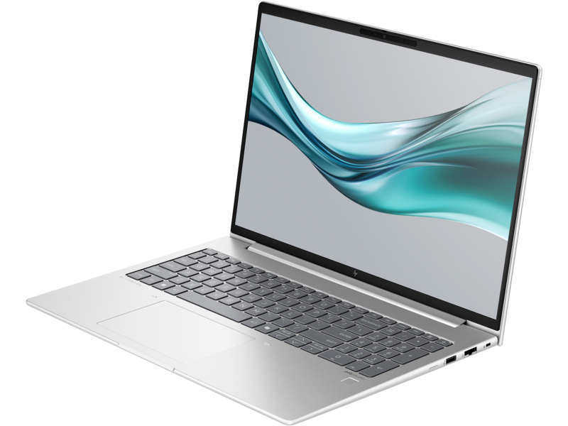 Ноутбук HP EliteBook 665 G11 Silver (8Z714AV)