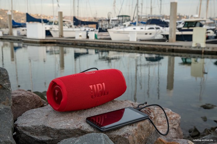 Беспроводная колонка JBL Charge 5 розовый (JBLCHARGE5PINK)