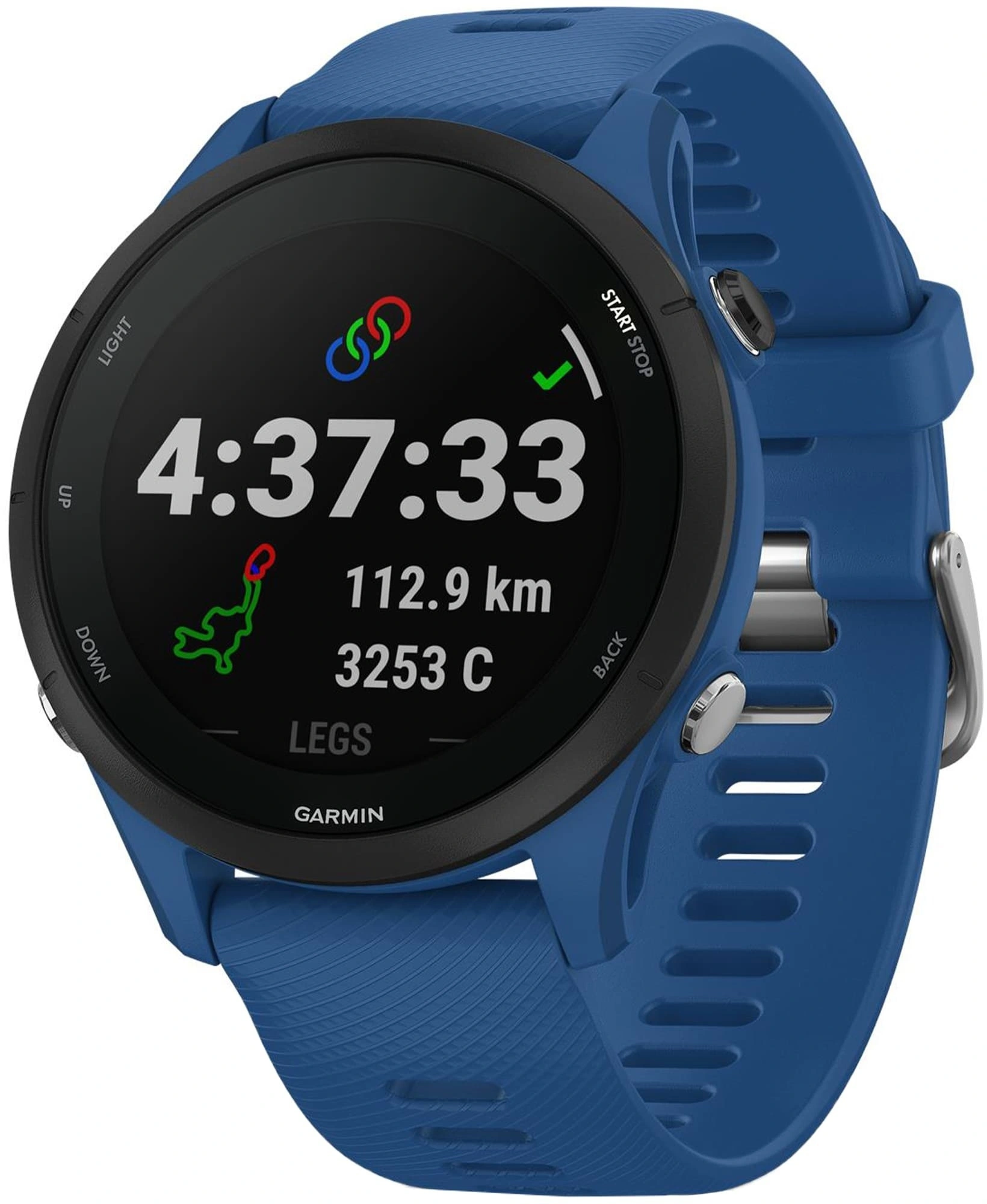 Умные часы Garmin Forerunner 255 Tidal Blue (010-02641-11)