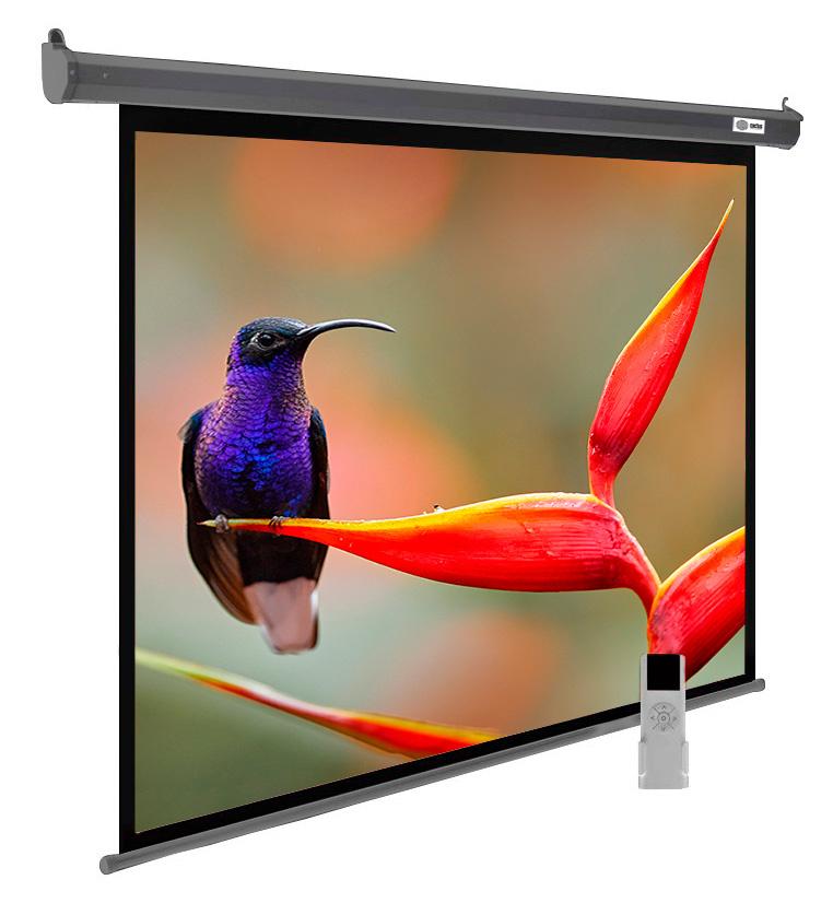 Проекционный экран Cactus CS-PSSME-220X138-DG